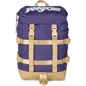 JanSport Mini Skip Pack – Compact Backpack with Main Compartment, Side Water Bottle Pocket, and Zippered Accessory Pocket, Red Tape(Amethyst Angst)