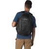 JanSport Agave(Black)