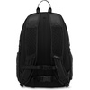 JanSport Agave(Black)