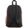 JanSport Cool Backpack, with 15-inch Laptop Sleeve – Large Computer Bag Rucksack with 2 Compartments, Ergonomic Straps, Loden Frost | Ergonomic Straps, Waterbottle Pocket, Campus Weekender Travel Rucksack(Misty Rose)