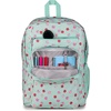JanSport Laptop Backpack – Computer Bag with 2 Compartments, Ergonomic Shoulder Straps, 15” Laptop Sleeve, Haul Handle – Cyberspace Galaxy(Apple Orchard Magic)
