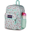 JanSport Laptop Backpack – Computer Bag with 2 Compartments, Ergonomic Shoulder Straps, 15” Laptop Sleeve, Haul Handle – Cyberspace Galaxy(Apple Orchard Magic)