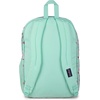 JanSport Laptop Backpack – Computer Bag with 2 Compartments, Ergonomic Shoulder Straps, 15” Laptop Sleeve, Haul Handle – Cyberspace Galaxy(Apple Orchard Magic)
