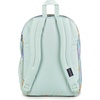 JanSport Laptop Backpack – Computer Bag with 2 Compartments, Ergonomic Shoulder Straps, 15” Laptop Sleeve, Haul Handle – Cyberspace Galaxy(Faded Floral Fresh Mint)