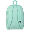 JanSport Laptop Backpack – Computer Bag with 2 Compartments, Ergonomic Shoulder Straps, 15” Laptop Sleeve, Haul Handle – Cyberspace Galaxy(Magic Mint)