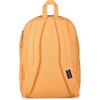 JanSport Laptop Backpack – Computer Bag with 2 Compartments, Ergonomic Shoulder Straps, 15” Laptop Sleeve, Haul Handle – Cyberspace Galaxy(Orange Soda)