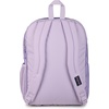 JanSport Laptop Backpack – Computer Bag with 2 Compartments, Ergonomic Shoulder Straps, 15” Laptop Sleeve, Haul Handle – Cyberspace Galaxy(Pastel Petals Lilac)