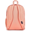 JanSport Laptop Backpack – Computer Bag with 2 Compartments, Ergonomic Shoulder Straps, 15” Laptop Sleeve, Haul Handle – Cyberspace Galaxy(Peach Bum)