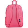 JanSport Laptop Backpack – Computer Bag with 2 Compartments, Ergonomic Shoulder Straps, 15” Laptop Sleeve, Haul Handle – Cyberspace Galaxy(Posh Pink)