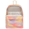 JanSport SuperBreak Plus Backpack(Blurred Wash)