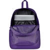 JanSport SuperBreak Plus Backpack(Daydream Contrast)