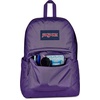 JanSport SuperBreak Plus Backpack(Daydream Contrast)