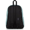 JanSport SuperBreak Plus Backpack(Faded Sage)