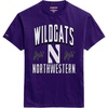 Northwestern Wildcats