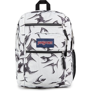 JanSport Laptop Backpack – Computer Bag with 2 Compartments, Ergonomic Shoulder Straps, 15” Laptop Sleeve, Haul Handle – Cyberspace Galaxy(Cyber Silver White)