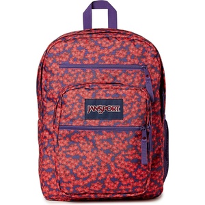JanSport Laptop Backpack – Computer Bag with 2 Compartments, Ergonomic Shoulder Straps, 15” Laptop Sleeve, Haul Handle – Cyberspace Galaxy(Forget Me Not Red Tape)