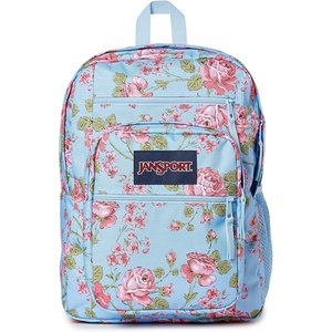 JanSport Laptop Backpack – Computer Bag with 2 Compartments, Ergonomic Shoulder Straps, 15” Laptop Sleeve, Haul Handle – Cyberspace Galaxy(Garden Roses Hydrangea)
