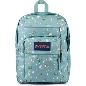 JanSport Laptop Backpack – Computer Bag with 2 Compartments, Ergonomic Shoulder Straps, 15” Laptop Sleeve, Haul Handle – Cyberspace Galaxy(Leapin Lillies)