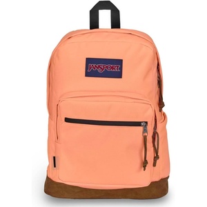 JanSport Right Pack Backpack – Durable Daypack with Padded 15″ Laptop Sleeve, Spacious Main Compartment & Integrated Water Bottle Pocket – Rustic Roses Moon Flower/Blu/Pnk/Grn(Peach Neon)