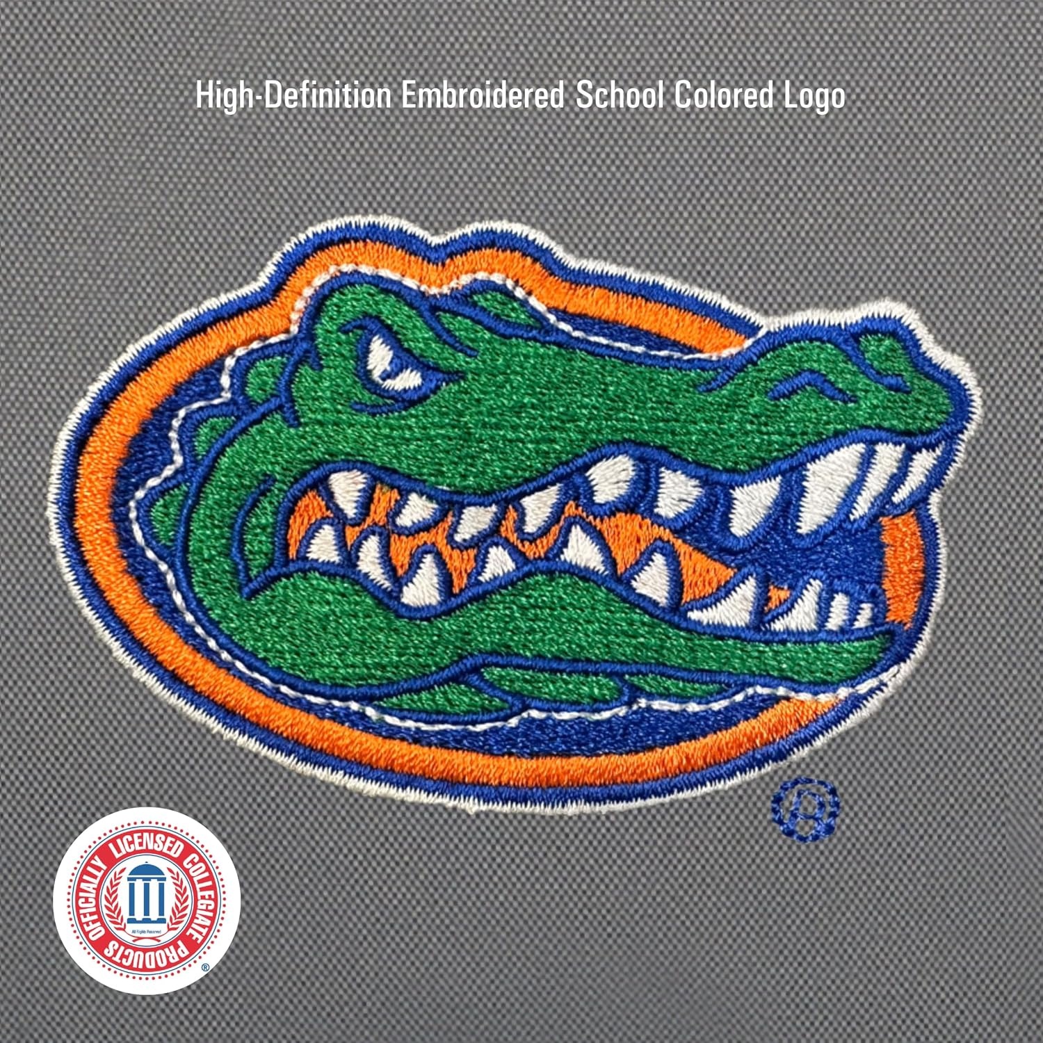 image:imageJanSport NCAA Officially Licensed Backpack South Carolina Superbreak Plus with Padded 15 Laptop Sleeve Spacious Computer Bag for Men amp Women Durable Daypack with Bottle Pocket Graphite GreyFlorida Gators