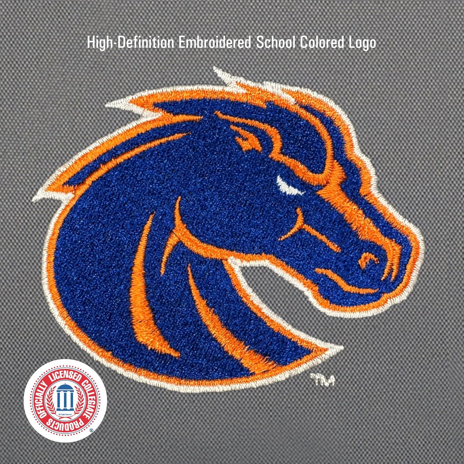 image:imageJanSport NCAA Officially Licensed Backpack South Carolina Superbreak Plus with Padded 15 Laptop Sleeve Spacious Computer Bag for Men amp Women Durable Daypack with Bottle Pocket Graphite GreyBoise State Broncos