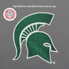 JanSport NCAA Officially Licensed Backpack, South Carolina, Superbreak Plus with Padded 15” Laptop Sleeve, Spacious Computer Bag for Men & Women, Durable Daypack with Bottle Pocket, Graphite Grey(Michigan State Spartans)