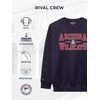 JanSport NCAA Officially Licensed Rival Crew Sweatshirt, Long Sleeve Graphic Pullover for Men, Women, Cotton-Polyester Blend(Arizona Wildcats)