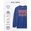 JanSport NCAA Officially Licensed Rival Crew Sweatshirt, Long Sleeve Graphic Pullover for Men, Women, Cotton-Polyester Blend(Boise State Broncos)