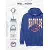 JanSport NCAA Officially Licensed Rival Hoodie, Long Sleeve Unisex Sweatshirt, Cotton-Polyester Blend, Double-Layered Hood(Boise State Broncos)