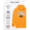 JanSport NCAA Officially Licensed Rival Hoodie, Long Sleeve Unisex Sweatshirt, Cotton-Polyester Blend, Double-Layered Hood(Iowa Hawkeyes)