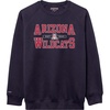 Arizona Wildcats