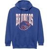 Boise State Broncos