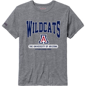 JanSport NCAA Officially Licensed Pregame Short Sleeve T Shirt for Men, Soft & Breathable Triblend Crewneck T Shirt(Arizona Wildcats)