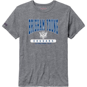 JanSport NCAA Officially Licensed Pregame Short Sleeve T Shirt for Men, Soft & Breathable Triblend Crewneck T Shirt(BYU Cougars)