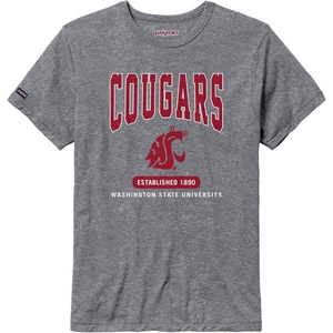 JanSport NCAA Officially Licensed Pregame Short Sleeve T Shirt for Men, Soft & Breathable Triblend Crewneck T Shirt(Washington State Cougars)