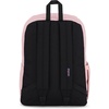 JanSport Superbreak Backpack – Durable, Lightweight Premium Backpack, White(Misty Rose)