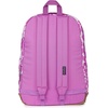 JanSport Right Pack Backpack – Durable Daypack with Padded 15″ Laptop Sleeve, Spacious Main Compartment & Integrated Water Bottle Pocket – Misty Rose(Blossom Bae Pink)