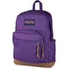 JanSport Right Pack Backpack – Durable Daypack with Padded 15″ Laptop Sleeve, Spacious Main Compartment & Integrated Water Bottle Pocket – Misty Rose(Grape Jelly)
