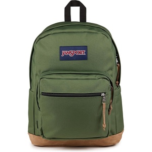 JanSport Right Pack Backpack – Durable Daypack with Padded 15″ Laptop Sleeve, Spacious Main Compartment & Integrated Water Bottle Pocket – Misty Rose(Cargo Green)