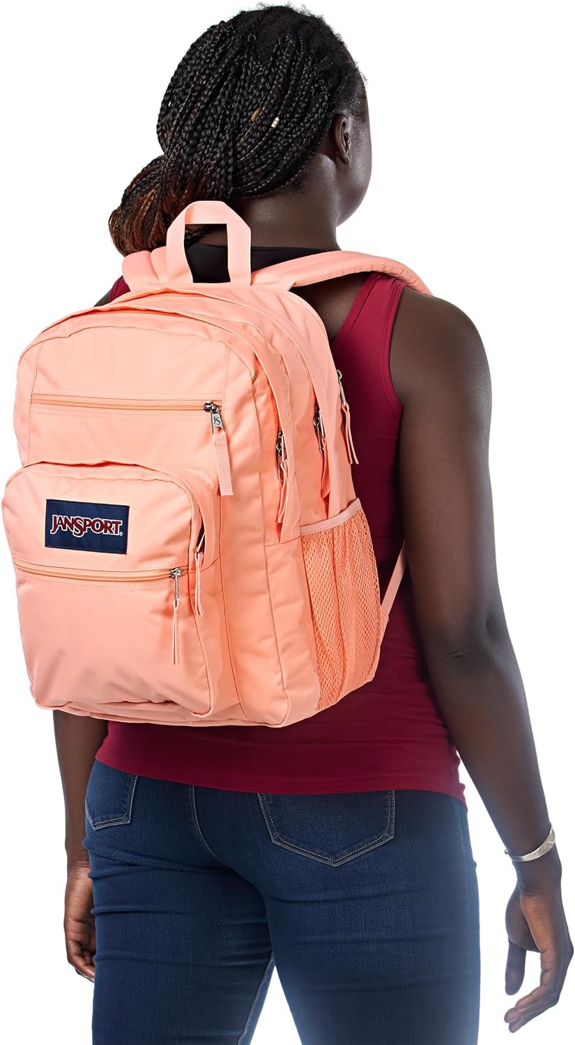 image:imageJanSport Laptop Backpack Computer Bag with 2 Compartments Ergonomic Shoulder Straps 15 Laptop Sleeve Haul Handle Fluttering FieldsPeach Bum