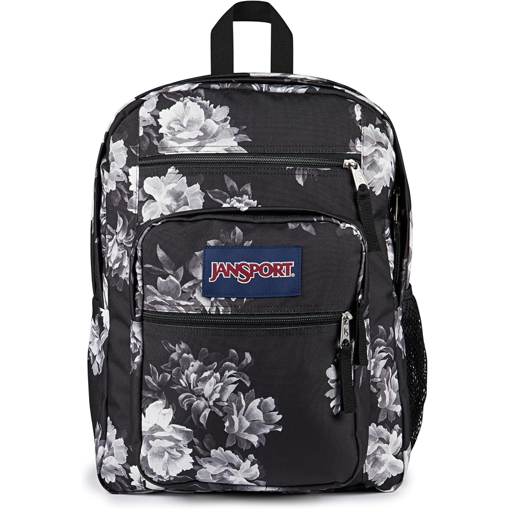image:imageJanSport Laptop Backpack Computer Bag with 2 Compartments Ergonomic Shoulder Straps 15 Laptop Sleeve Haul Handle Fluttering FieldsMagnolia Mirage