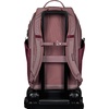 JanSport 26L All Around Pack – 15 inch Laptop Sleeve, Cherry Lacquer(Cherry Lacquer)
