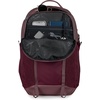 JanSport 28L All Around Pack – Travel Backpack, Navy(Cherry Lacquer)