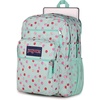 JanSport Laptop Backpack – Computer Bag with 2 Compartments, Ergonomic Shoulder Straps, 15” Laptop Sleeve, Haul Handle – Fluttering Fields(Apple Orchard Magic)