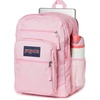 JanSport Laptop Backpack – Computer Bag with 2 Compartments, Ergonomic Shoulder Straps, 15” Laptop Sleeve, Haul Handle – Fluttering Fields(Bubble Gum)