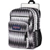 JanSport Laptop Backpack – Computer Bag with 2 Compartments, Ergonomic Shoulder Straps, 15” Laptop Sleeve, Haul Handle – Fluttering Fields(Digi Tie Dye Black)