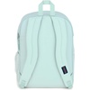 JanSport Laptop Backpack – Computer Bag with 2 Compartments, Ergonomic Shoulder Straps, 15” Laptop Sleeve, Haul Handle – Fluttering Fields(Fresh Mint)