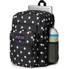 JanSport Laptop Backpack – Computer Bag with 2 Compartments, Ergonomic Shoulder Straps, 15” Laptop Sleeve, Haul Handle – Fluttering Fields(Spot on Black)