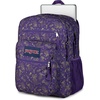 JanSport Laptop Backpack – Computer Bag with 2 Compartments, Ergonomic Shoulder Straps, 15” Laptop Sleeve, Haul Handle – Fluttering Fields(Very Jelly)