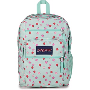 JanSport Laptop Backpack – Computer Bag with 2 Compartments, Ergonomic Shoulder Straps, 15” Laptop Sleeve, Haul Handle – Fluttering Fields(Apple Orchard Magic)